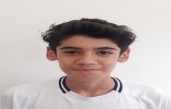 سید پارسا حسینی