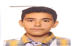 مهدی محمودی