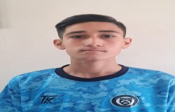 پارسا نفیسی