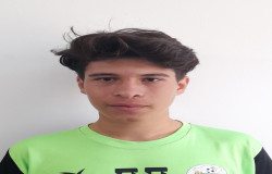اکبر حمیدی