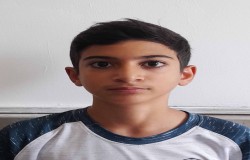 پارسا سنگینی