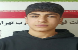محمد صارمی تکمه داش
