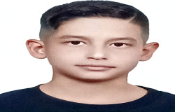 بردیا شعبانی