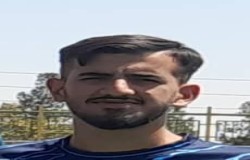 محمدحسین محمدی