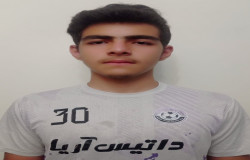 محمد مهدی قلیچی