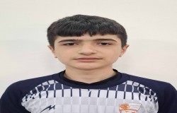 محمد شاه محمدی