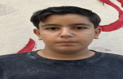 پویان محمدی