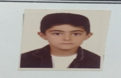 آریا عبدوالملکی