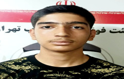 محمدمهدی پرنیان