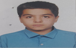 ماهان همدمی