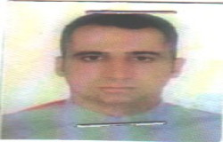 وحید هداوند