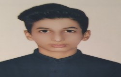 امیرحسین شاهى