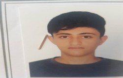 امین فیروزه مقدم