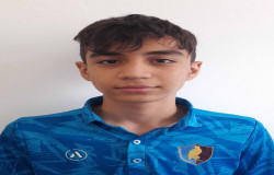 امیرعلی تیموری