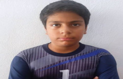 امیر علی دربهانی