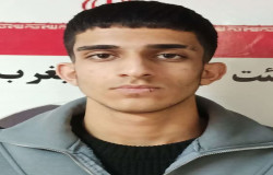 ماهان ولی پور