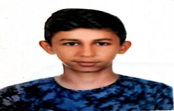 پویا باباپور