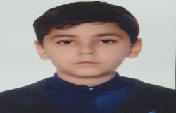 رایین فراهانی