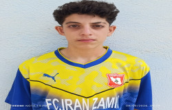 محمد مهدی کنگاوری