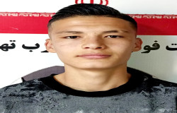 مجتبی محمدی