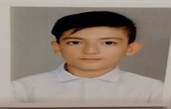 امیر حسام محمدی