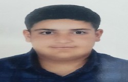 میرحسام سید عابدینی