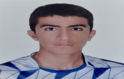 علی حسن زاده شرف اباد