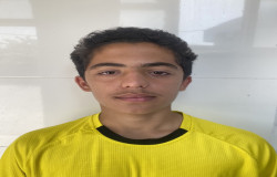 محمد پارسا نقیبی