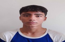 فربد احمد زاده