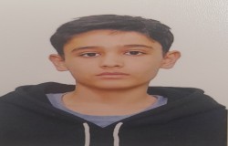 آراد محمد صادقی