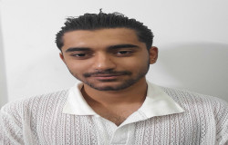 آریا پیرمحمدی