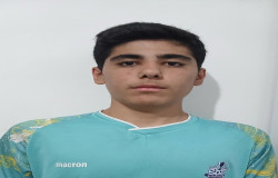 طاها ادهمی گیگلو