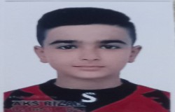 امیرعرشیا محمدجانی