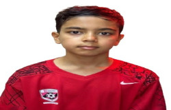 محمد جواد اسمعیلی