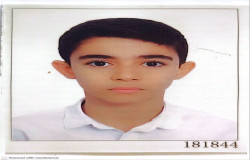 محمد طاها یعقوبی گردویشه