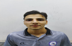 سید محمد هادی موسوی