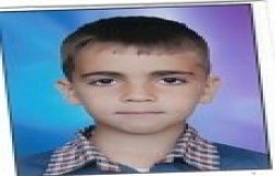 بردیا نقدی