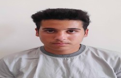 علی تقوی