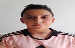 سیدحامد اسلامی