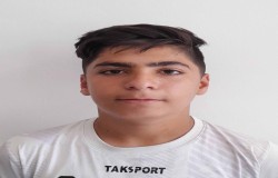 ایلیا میرزایی