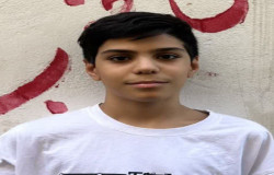 امیرمهدی بیشه سری