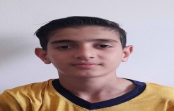 آرشام باشی
