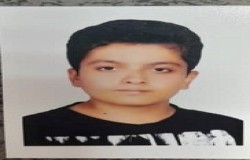 محمدپارسا اژدردستنانی