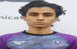 محمد امین کفیلی