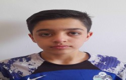 محمد معراج تاج آبادی فراهانی