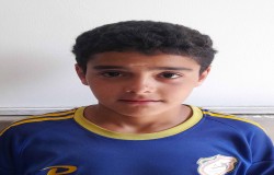 محمد محمودی