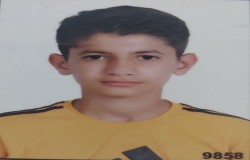 مبین دلفانی
