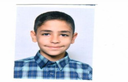 بردیا یوسفی