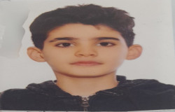 ایلیا دلیخون