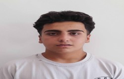 محمدآرین ایلانلو
